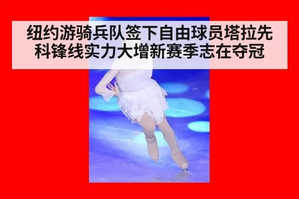 纽约游骑兵队签下自由球员塔拉先科锋线实力大增新赛季志在夺冠